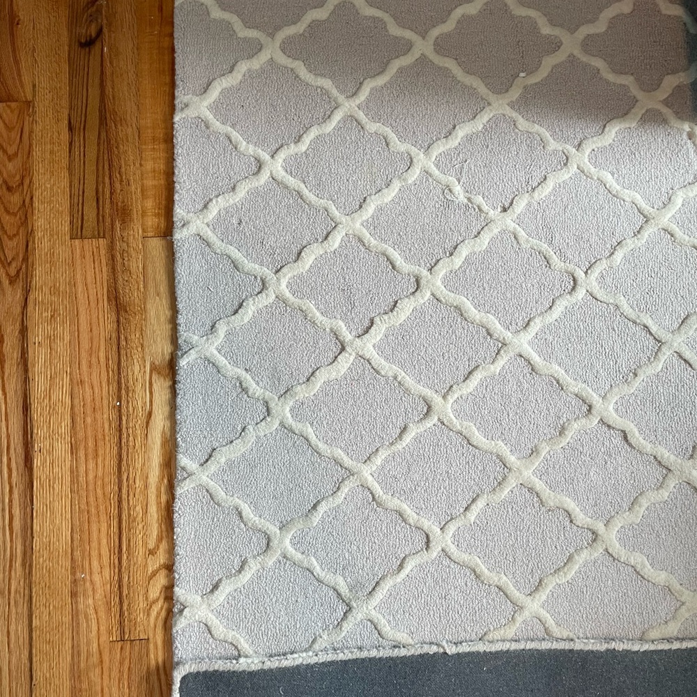 Pottery Barn Kids Gray and Cream Area Rug